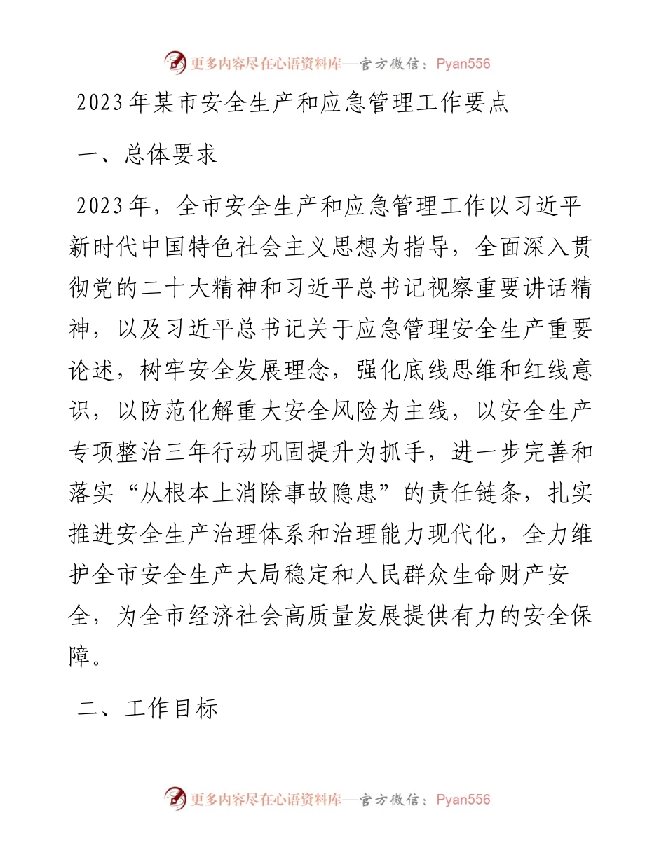 2023年某市安全生产和应急管理工作要点.docx_第1页