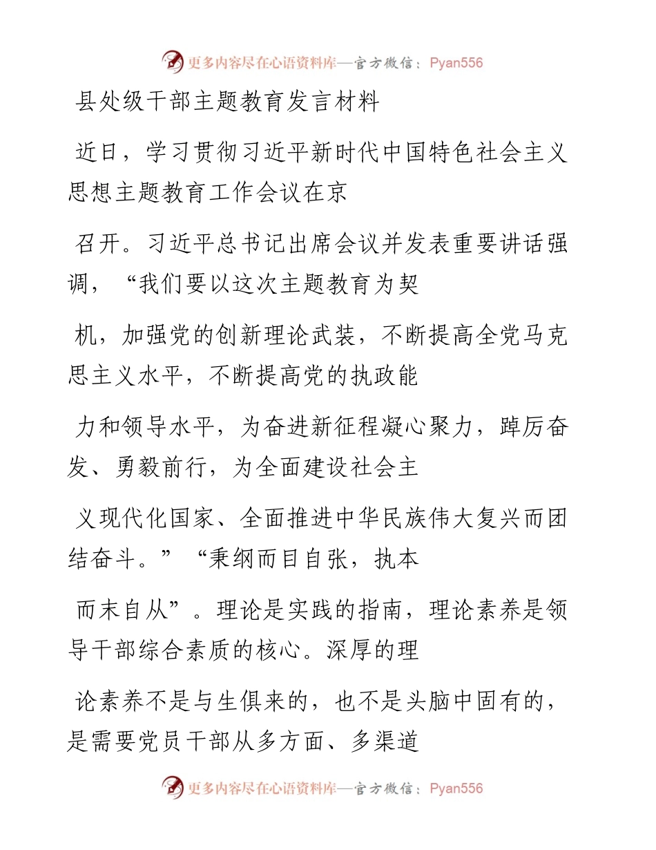 20230413：县处级干部主题教育发言材料.docx_第1页