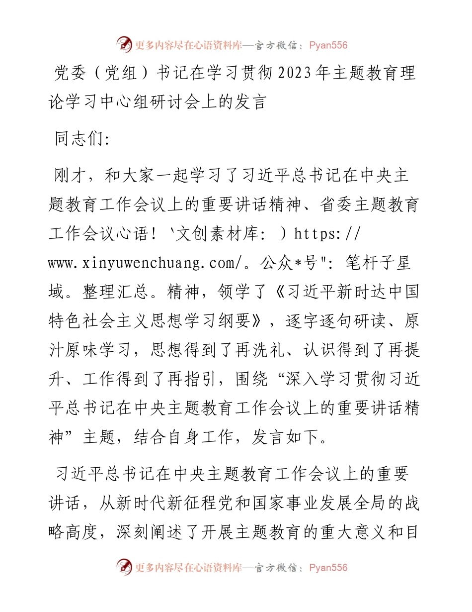 20230418：党委（党组）书记在学习贯彻2023年主题教育理论学习中心组研讨会上的发言.docx_第1页
