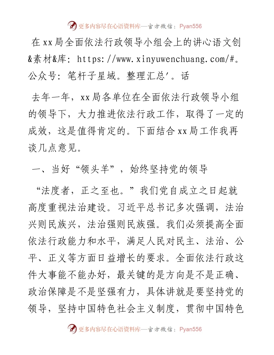 20230401：在xx局全面依法行政领导小组会上的讲话.docx_第1页