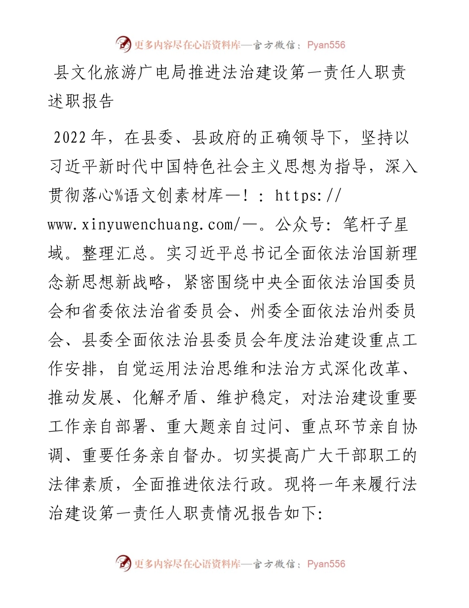 20230416：县文化旅游广电局推进法治建设第一责任人职责述职报告.docx_第1页