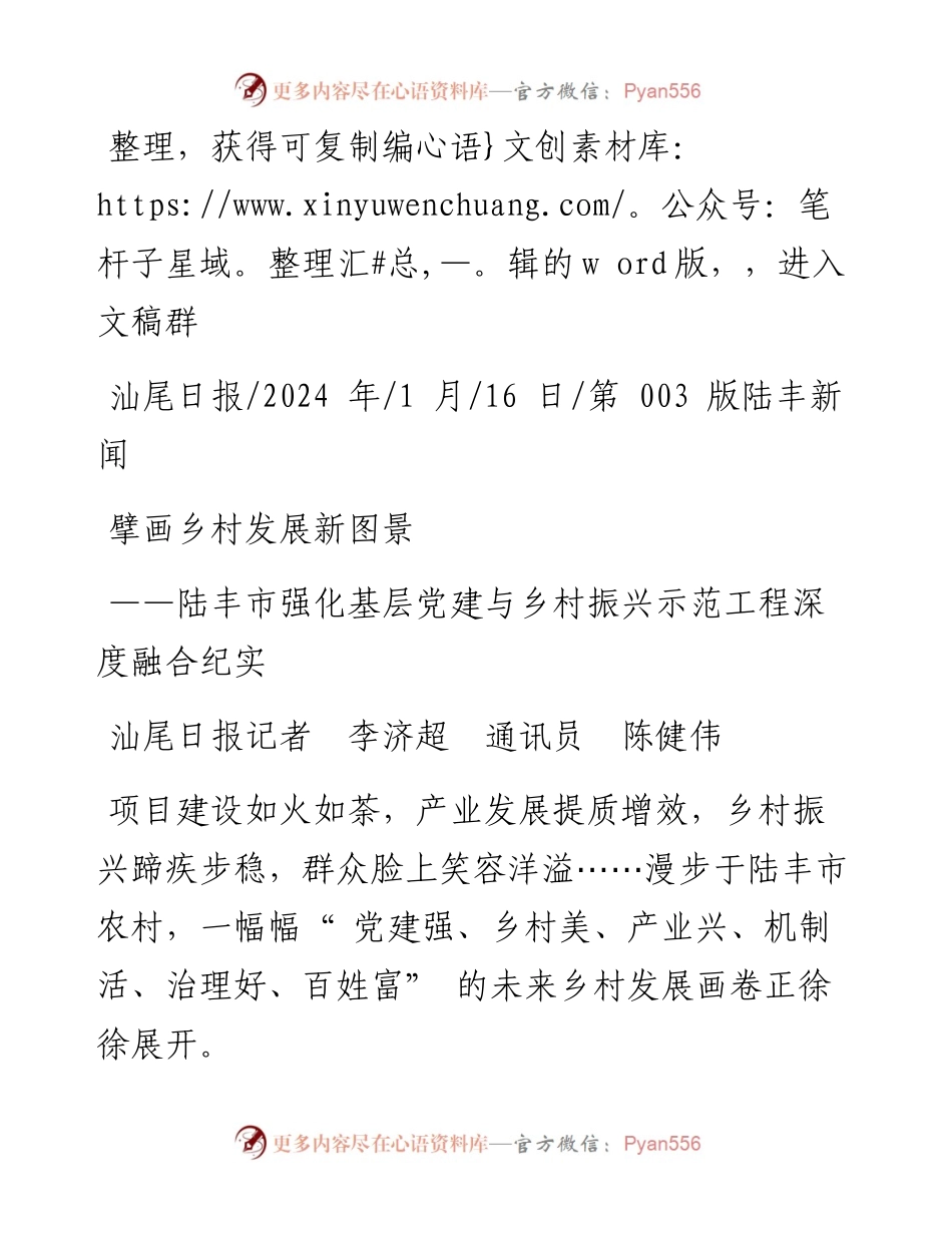 2024.01.16汕尾日报记者李济超通讯员陈健伟：擘画乡村发展新图景.docx_第1页