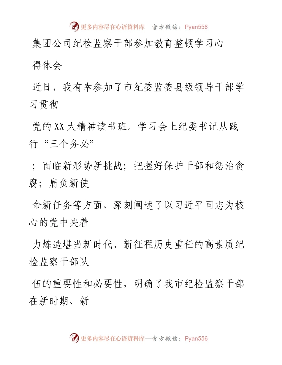 20230414：集团公司纪检监察干部参加教育整顿学习心得体会.docx_第1页