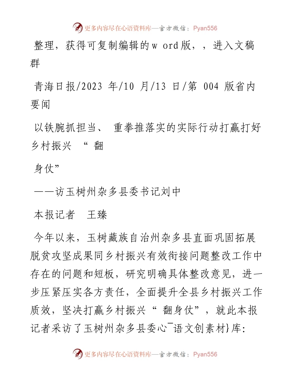 2023.10.13本报记者王臻：以铁腕抓担当、重拳推落实的实际行动打赢打好乡村振兴翻身仗.docx_第1页