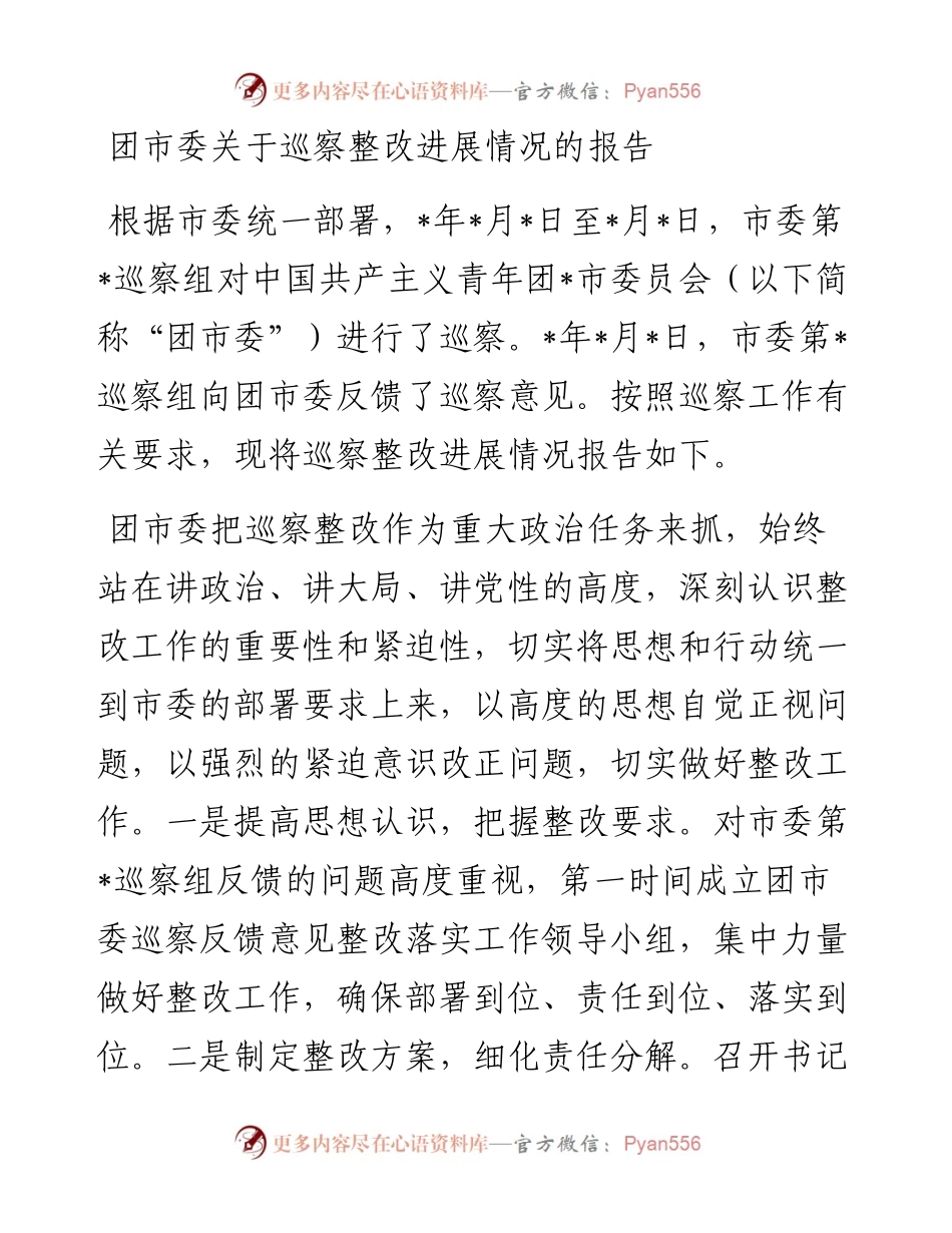 20230322：团市委关于巡察整改进展情况的报告.docx_第1页