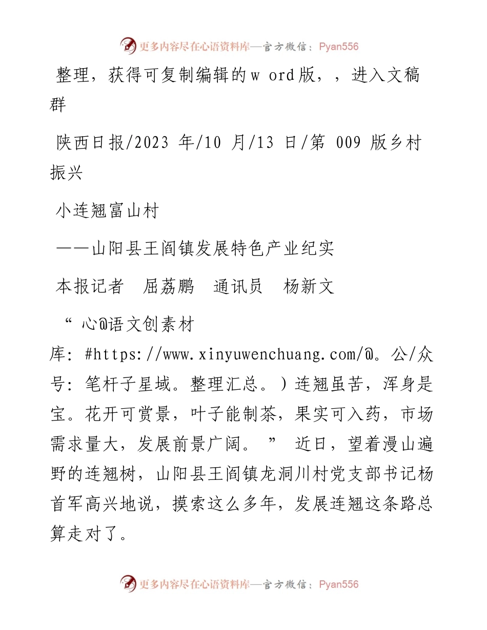 2023.10.13本报记者屈荔鹏通讯员杨新文：小连翘富山村.docx_第1页