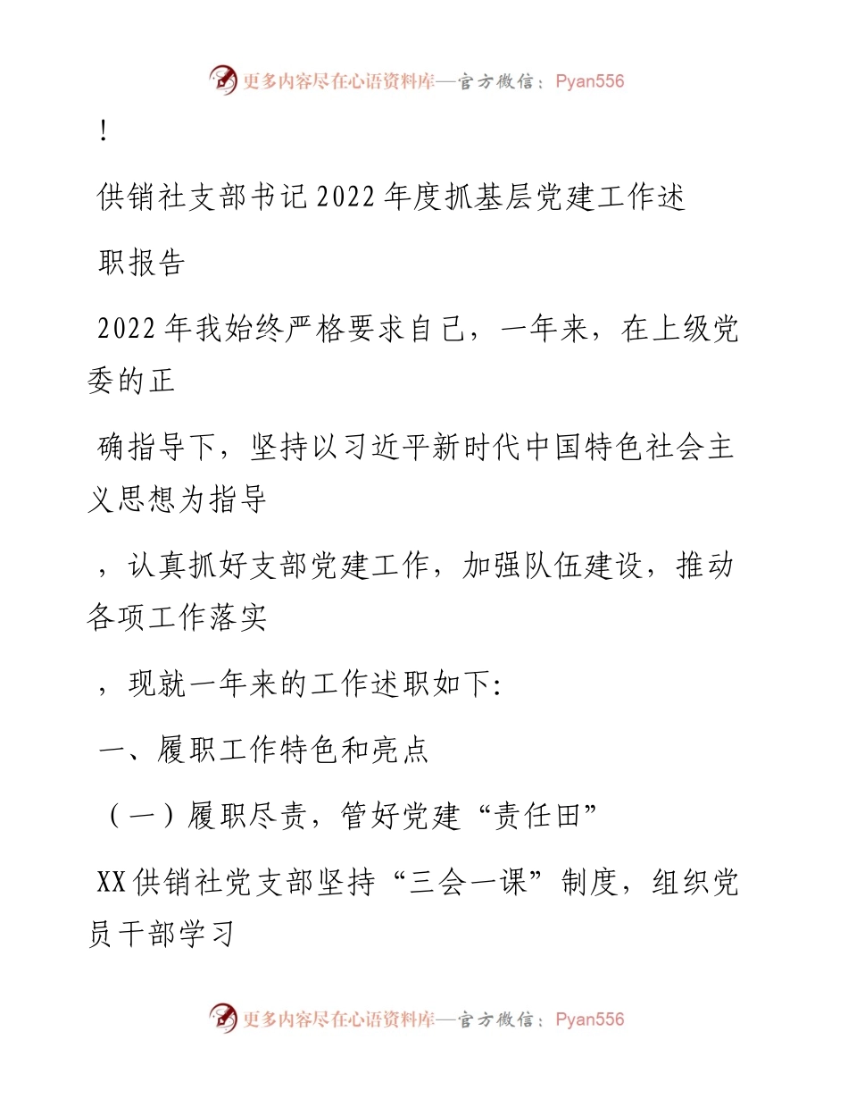 20230324：供销社支部书记度抓基层党建工作述职报告.docx_第1页