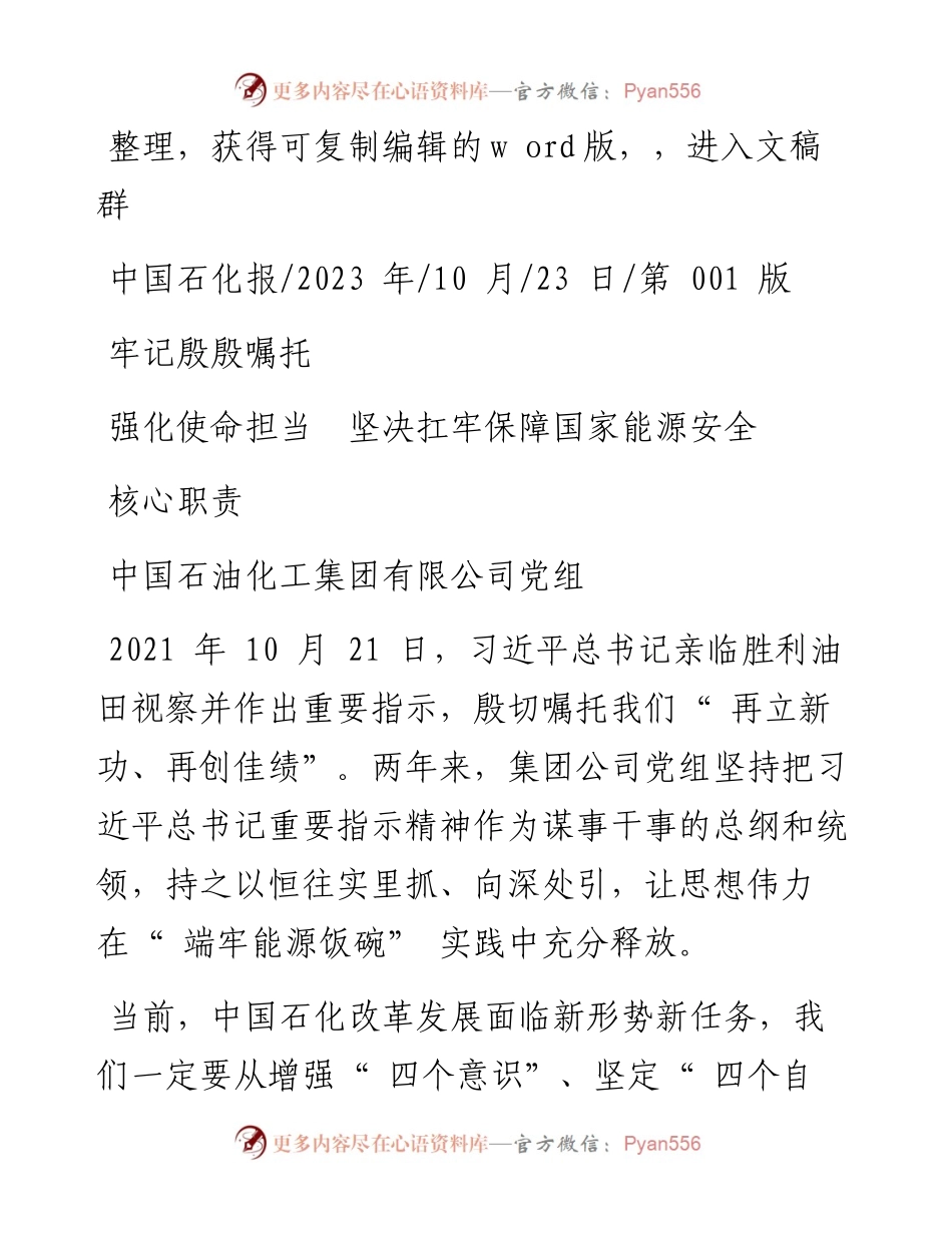 2023.10.23中国石油化工集团有限公司党组：牢记殷殷嘱托强化使命担当坚决扛牢保障国家能源安全核心职责.docx_第1页