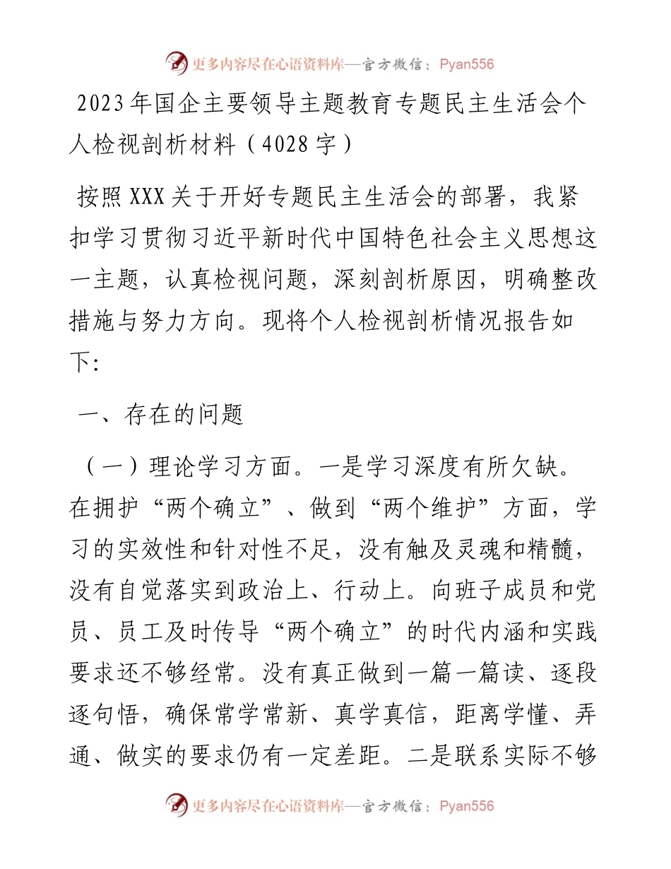 2023年国企主要领导主题教育专题民主生活会个人检视剖析材料.docx_第1页