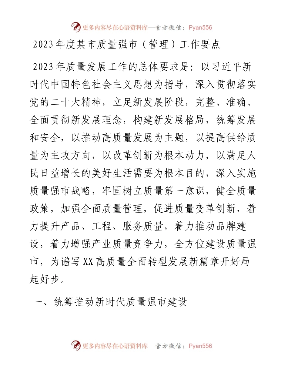 2023年度某市质量强市（管理）工作要点.docx_第1页