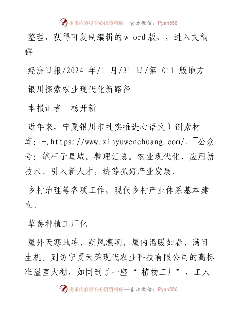 2024.01.31本报记者杨开新：银川探索农业现代化新路径.docx_第1页