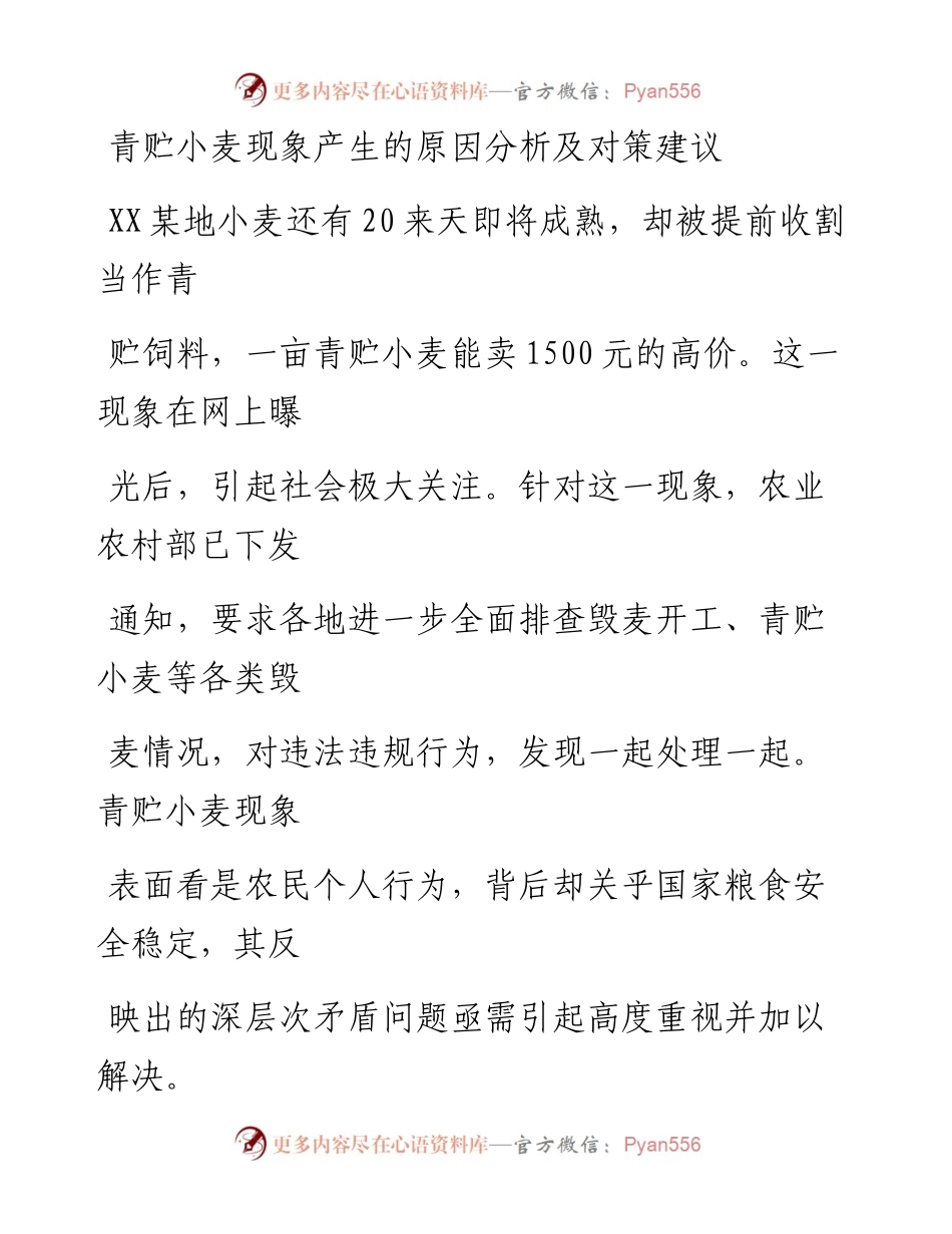 20230405：青贮小麦现象产生的原因分析及对策建议.docx_第1页
