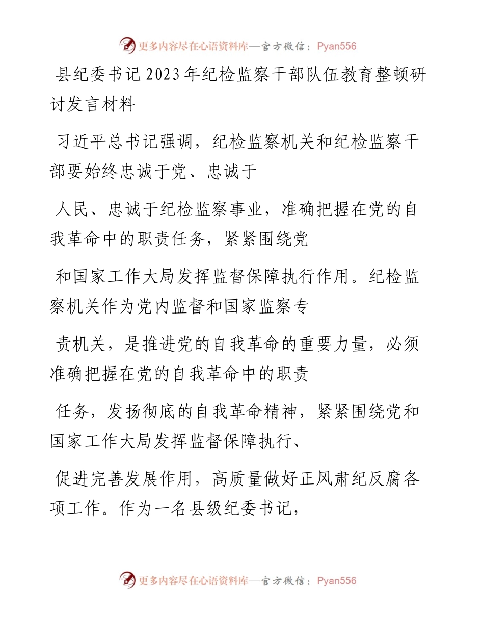 20230410：县纪委书记2023年纪检监察干部队伍教育整顿研讨发言材料.docx_第1页