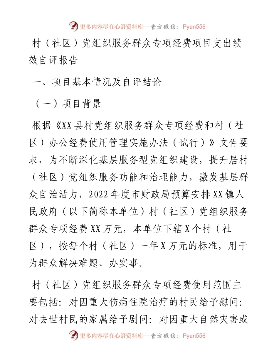 20230316：村（社区）党组织服务群众专项经费项目支出绩效自评报告.docx_第1页