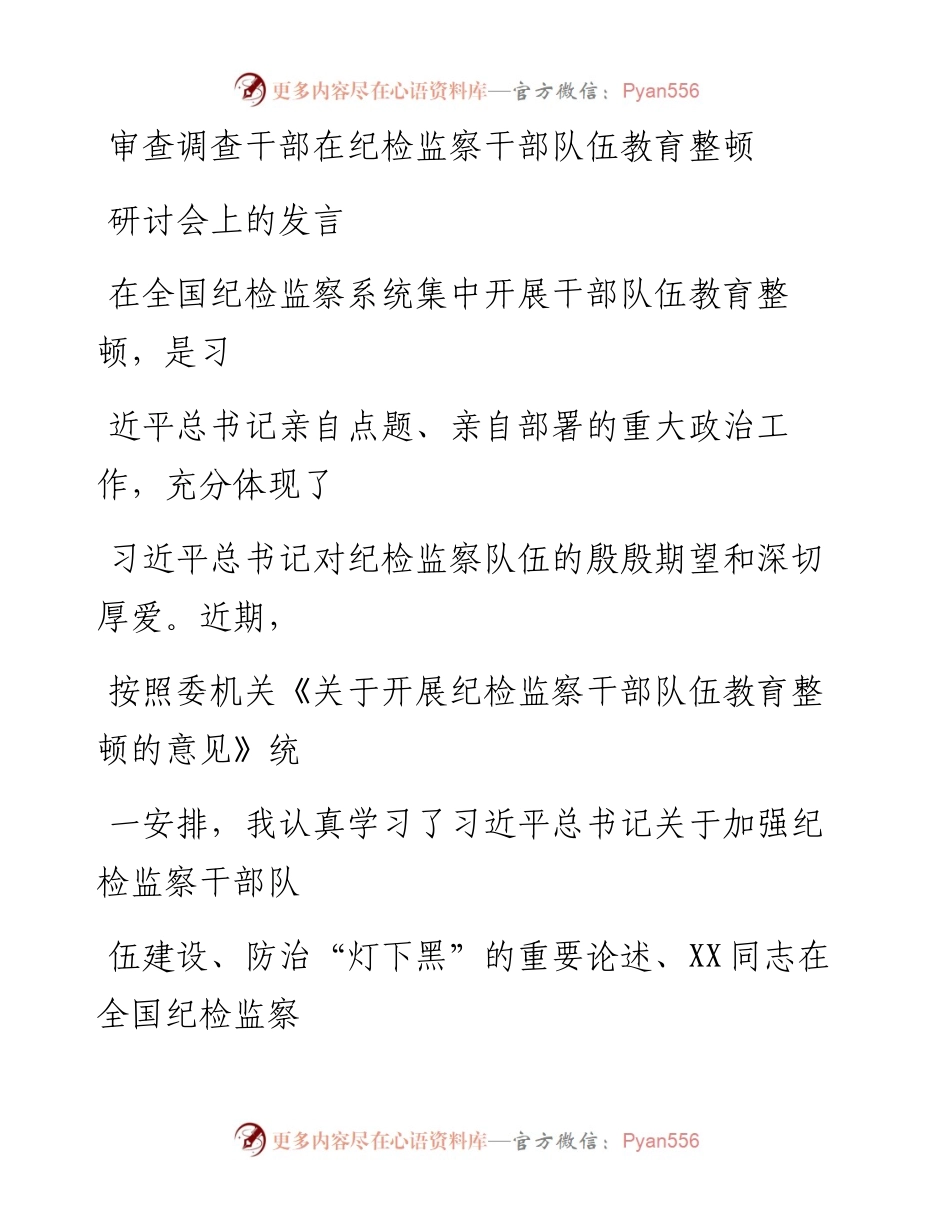 20230328：审查调查干部在纪检监察干部队伍教育整顿研讨会上的发言.docx_第1页