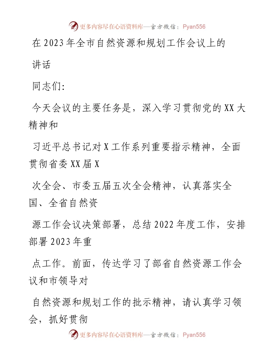 20230328：在2023年全市自然资源和规划工作会议上的讲话.docx_第1页
