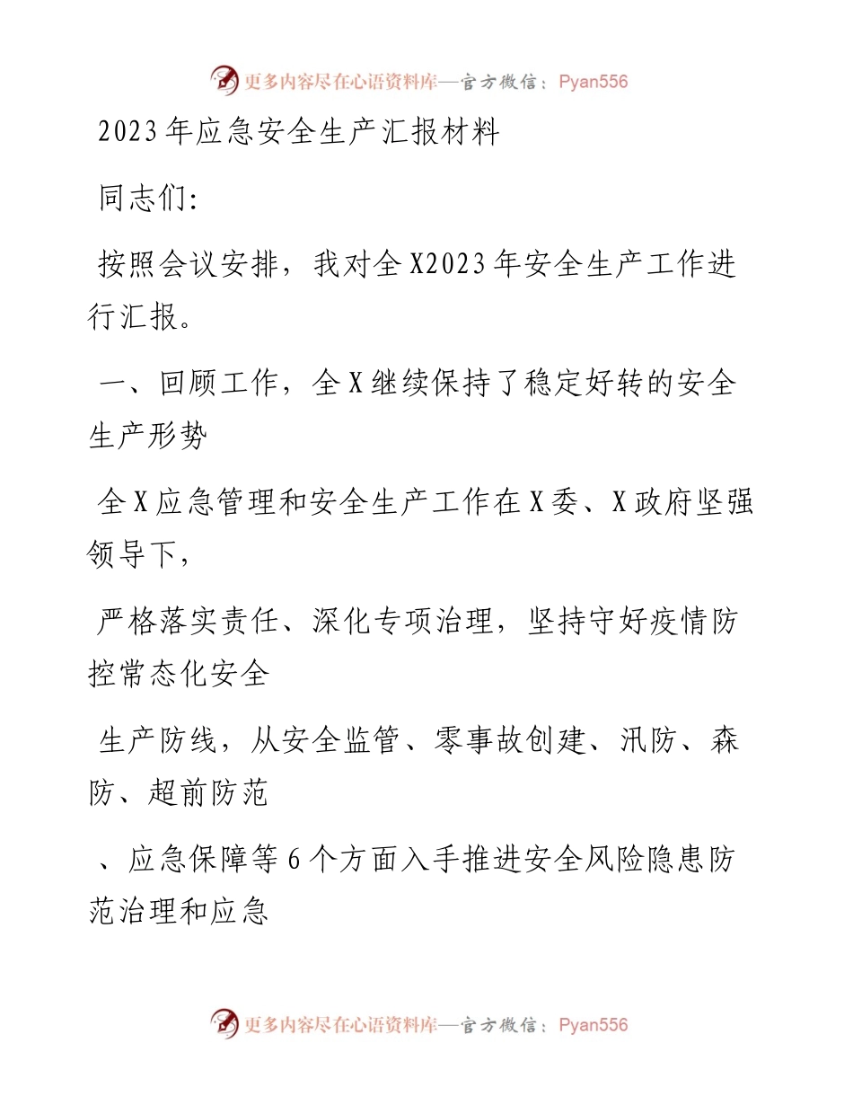 20230405：2023年应急安全生产汇报材料.docx_第1页