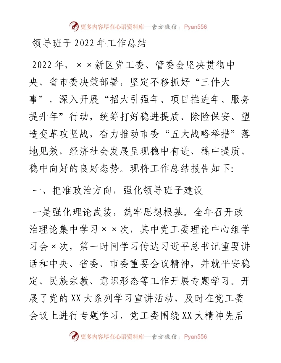 20230326：领导班子工作总结.docx_第1页