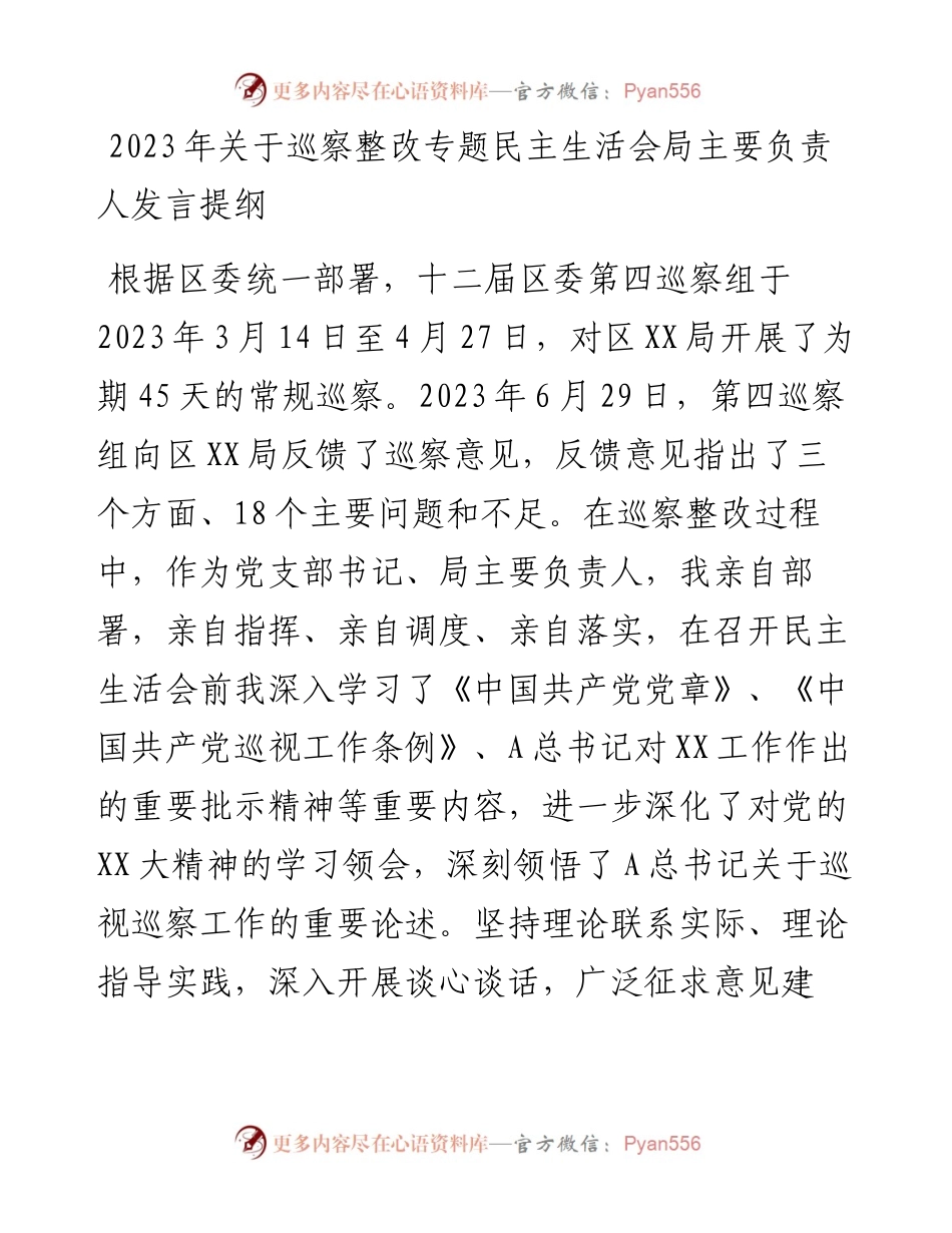 2023年关于巡察整改专题民主生活会局主要负责人发言提纲.docx_第1页