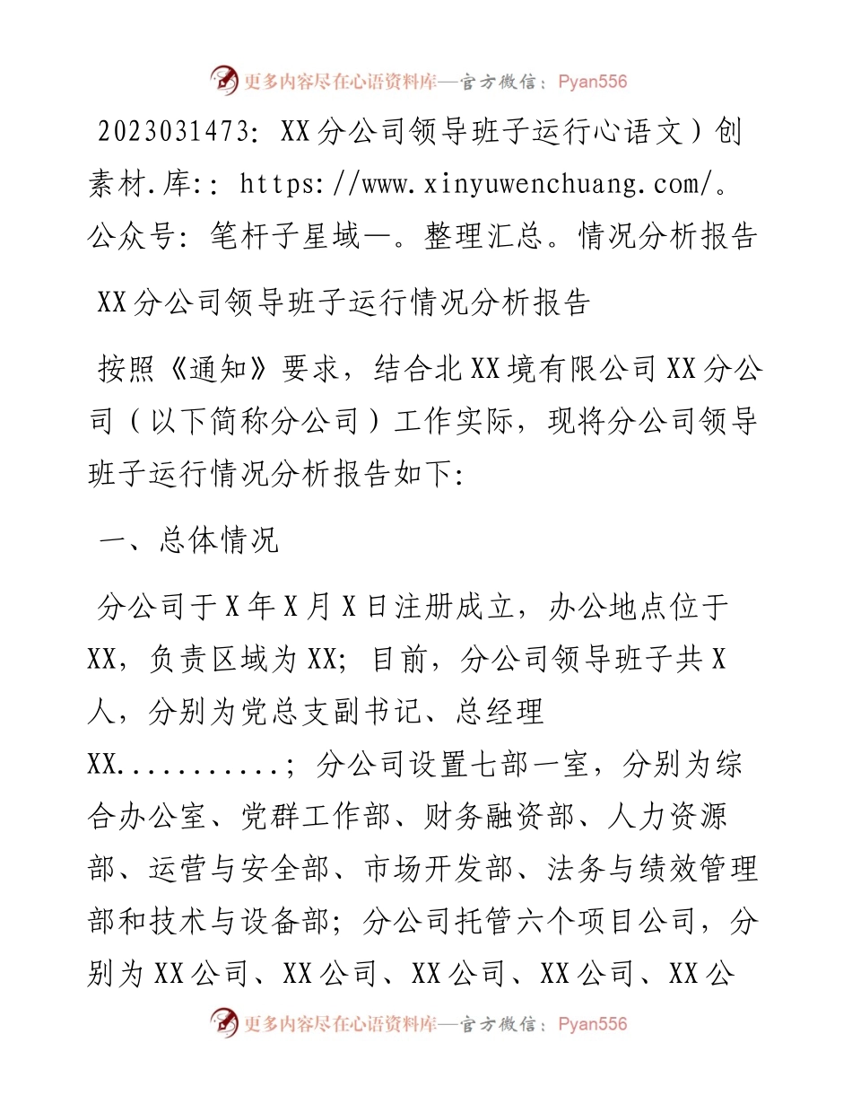 20230315：XX分公司领导班子运行情况分析报告.docx_第1页