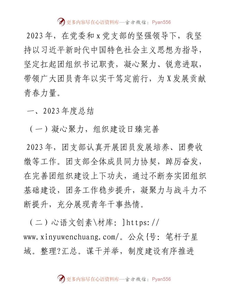2023年度基层团组织书记述职报告.docx_第1页