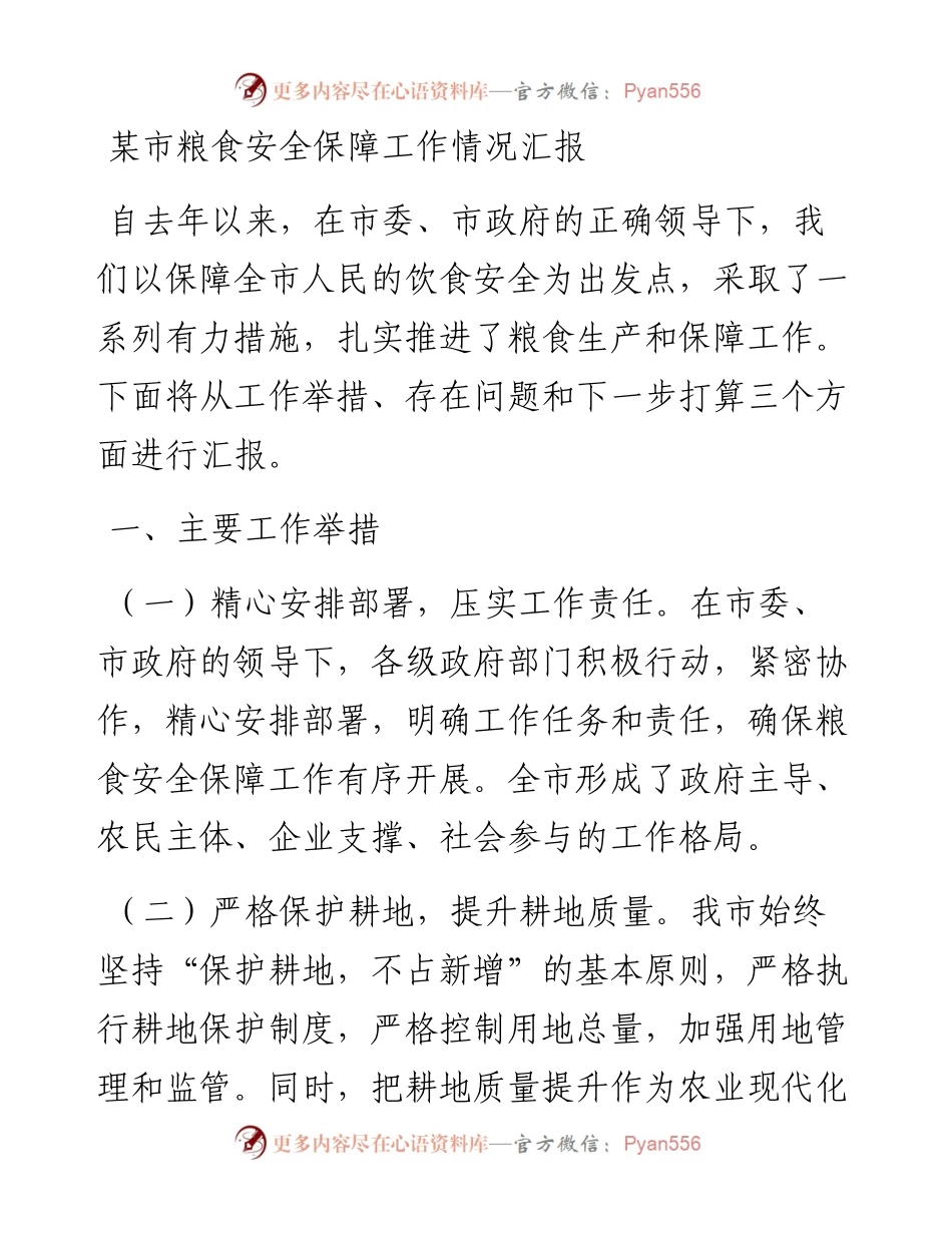 20230309：某市粮食安全保障工作情况汇报.docx_第1页