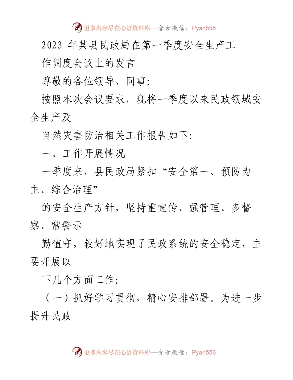 [发言] 会议 - 2023年某县民政局第一季度安全生产工作报告.docx_第1页
