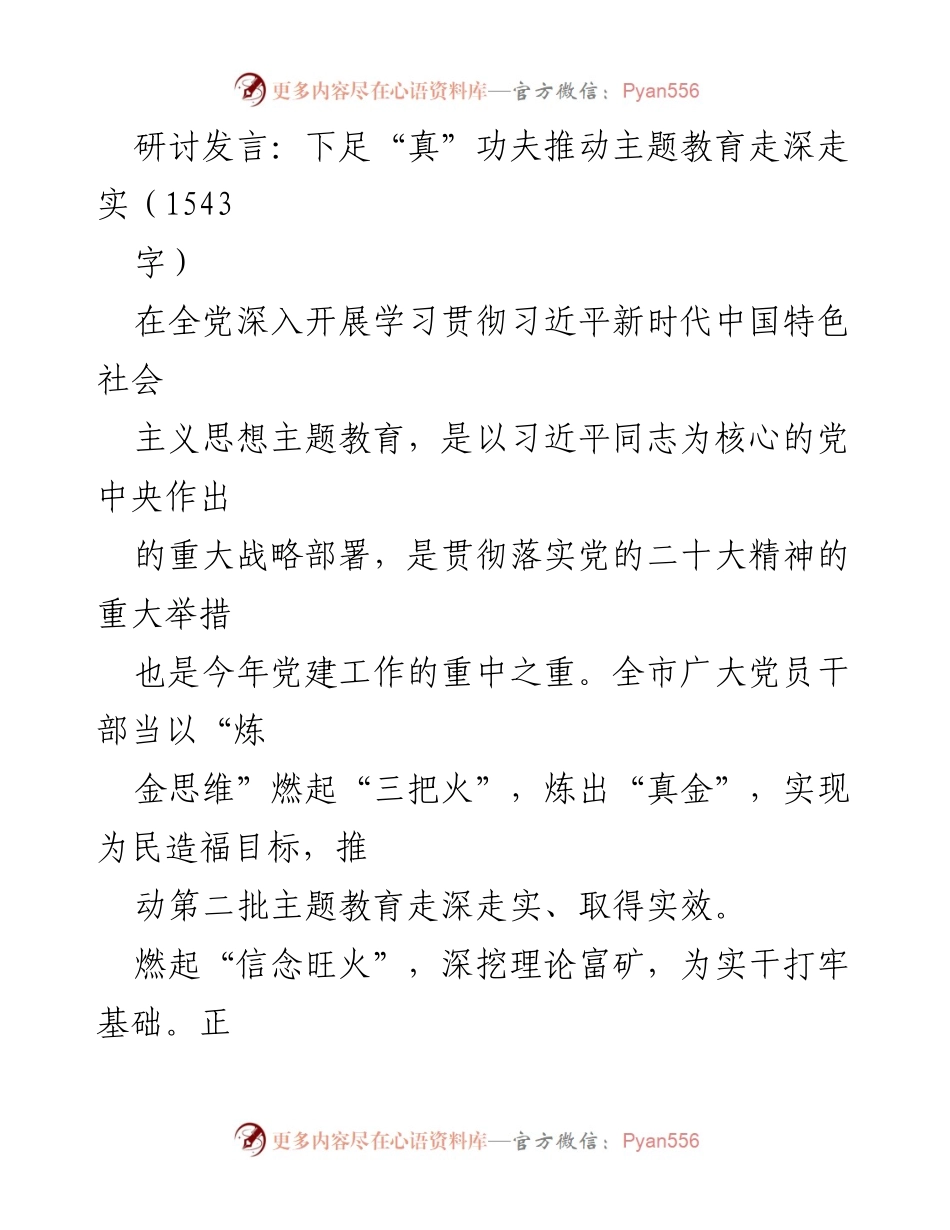 [发言] 主题教育研讨会 - 推动主题教育走深走实的策略与实践.docx_第1页