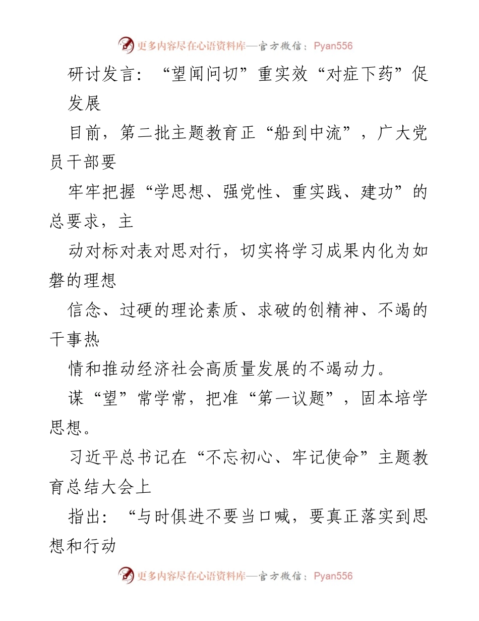 [发言] 主题教育研讨会 - “望闻问切”促发展：党员干部的实践与责任.docx_第1页