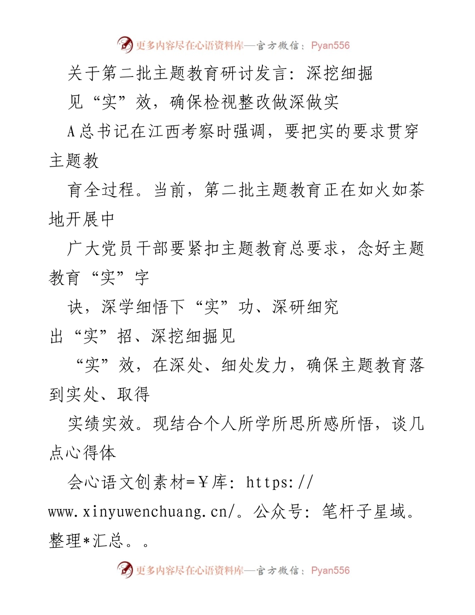 [发言] 主题教育研讨 - 深挖细掘，确保检视整改见实效.docx_第1页