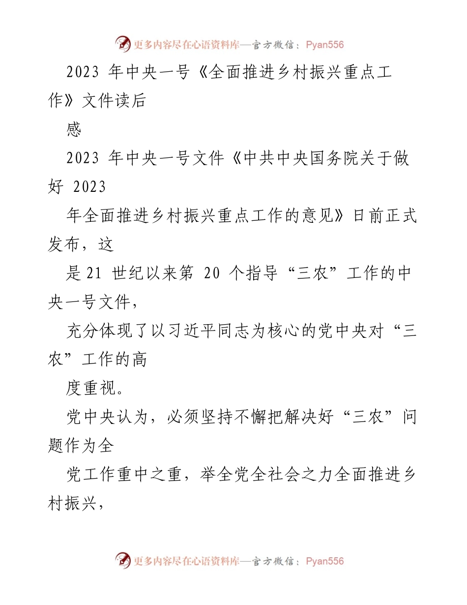 [发言] 乡村振兴工作会议 - 贯彻2023年中央一号文件精神，推进乡村振兴战略.docx_第1页