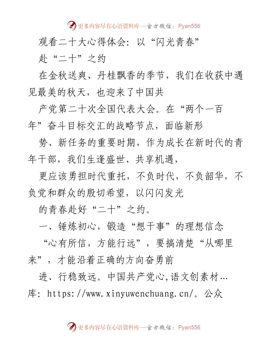[发言] 二十大心得体会分享 - 青年干部的使命与担当：以“闪光青春”赴“二十”之约.docx_第1页