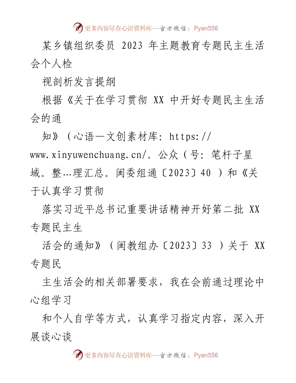 [发言] 乡镇主题教育专题民主生活会 - 个人检视剖析发言提纲.docx_第1页