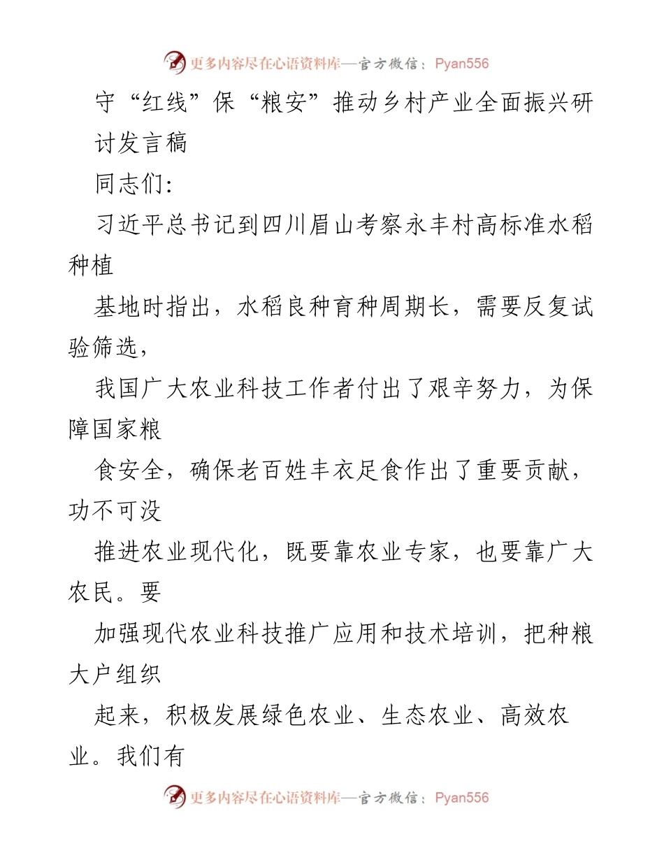[发言] 乡村振兴研讨会 - 守住耕地红线，保障粮食安全，助力乡村产业振兴.docx_第1页