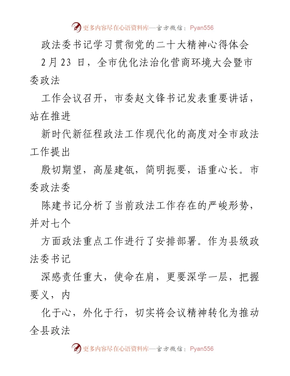 [发言] 优化法治化营商环境大会 - 深入学习贯彻党的二十大精神，推动政法工作现代化.docx_第1页