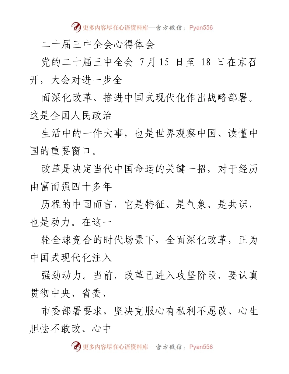 [发言] 二十届三中全会 - 深化改革与中国式现代化的战略思考.docx_第1页
