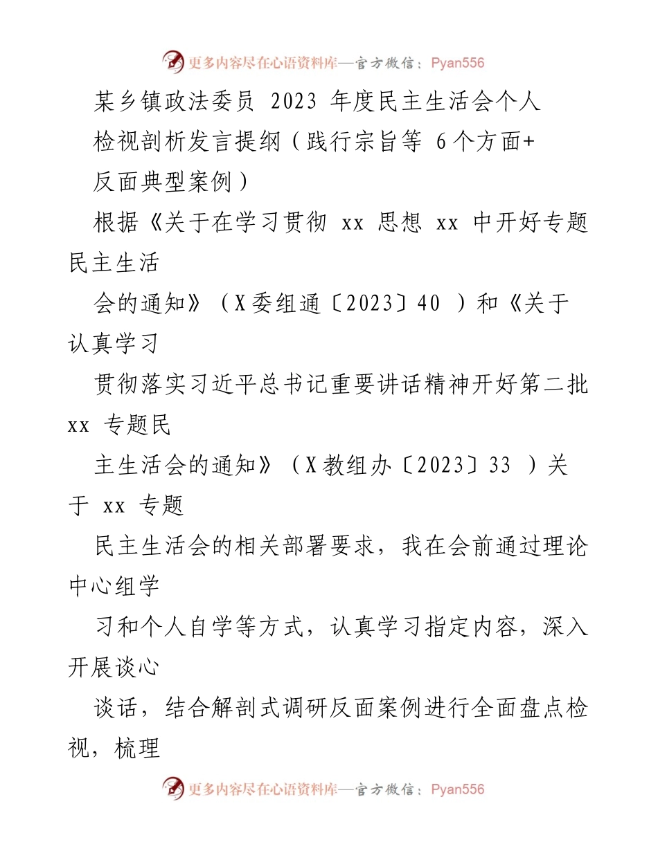 [发言] 乡镇民主生活会 - 2023年度民主生活会个人检视剖析发言提纲.docx_第1页