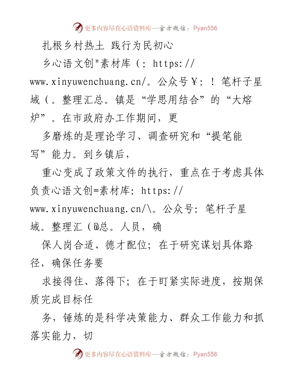 [发言] 乡镇工作总结 - 扎根乡村，践行为民初心：年轻干部的成长与挑战.docx_第1页