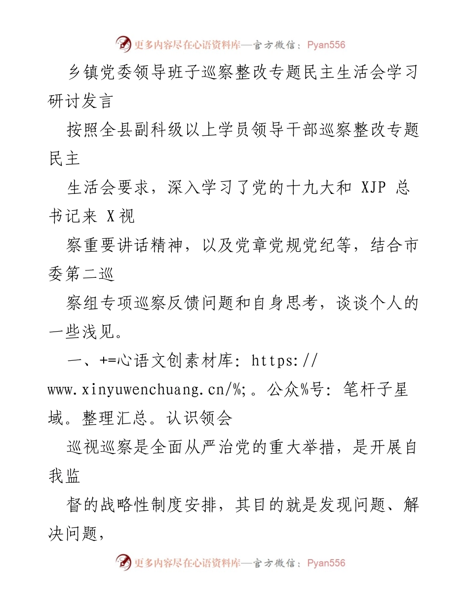[发言] 乡镇党委领导班子巡察整改专题民主生活会 - 深入学习与落实巡视巡察整改的重要性.docx_第1页