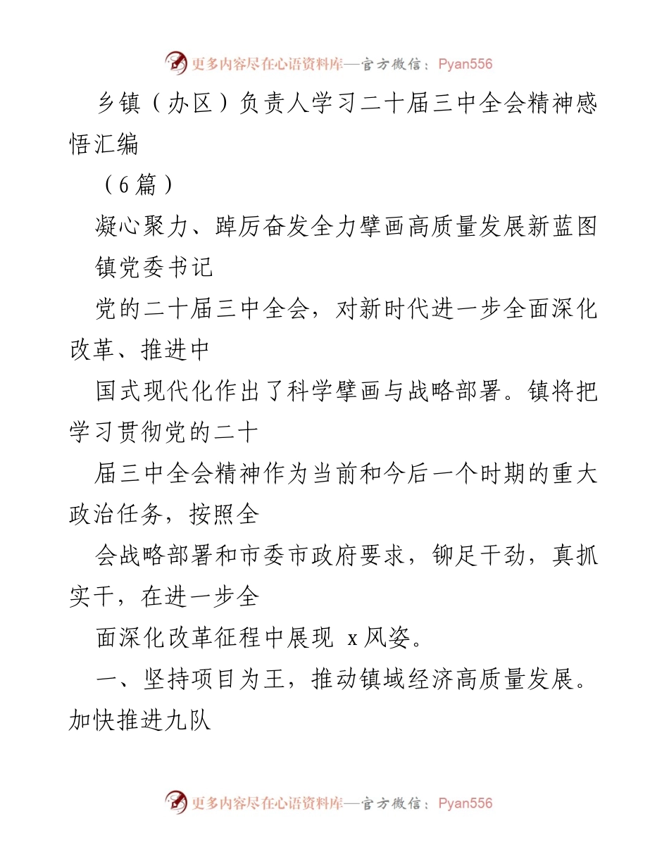 [发言] 乡镇（办区）负责人学习二十届三中全会精神交流会 - 深入学习贯彻党的二十届三中全会精神，推动高质量发展新蓝图.docx_第1页