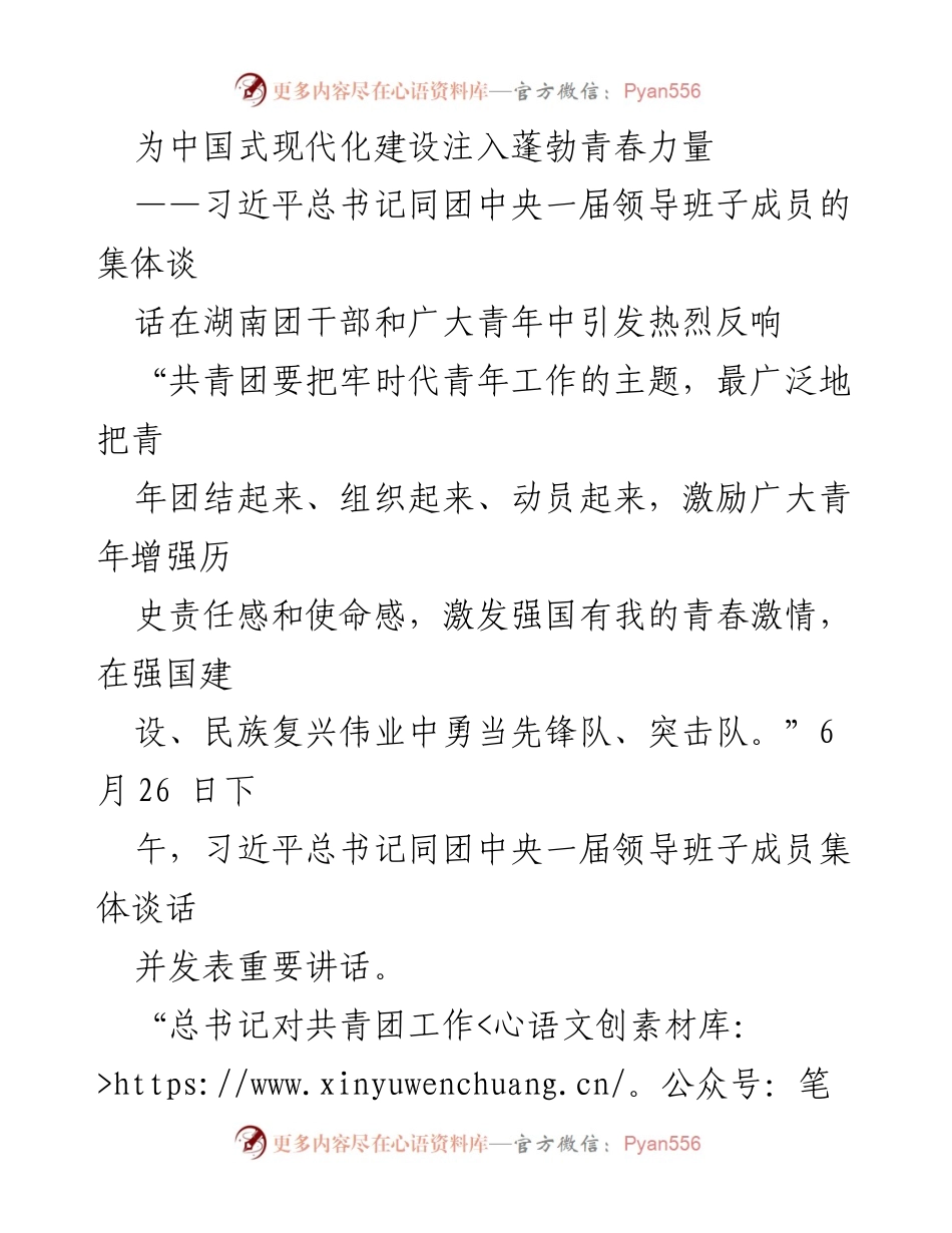 [发言] 习近平总书记与团中央一届领导班子成员集体谈话 - 注入青春力量，勇担时代使命.docx_第1页
