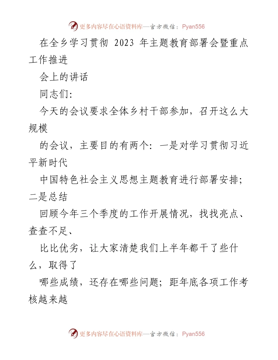 [发言] 乡村干部会议 - 深入学习贯彻习近平新时代中国特色社会主义思想主题教育的重要性.docx_第1页