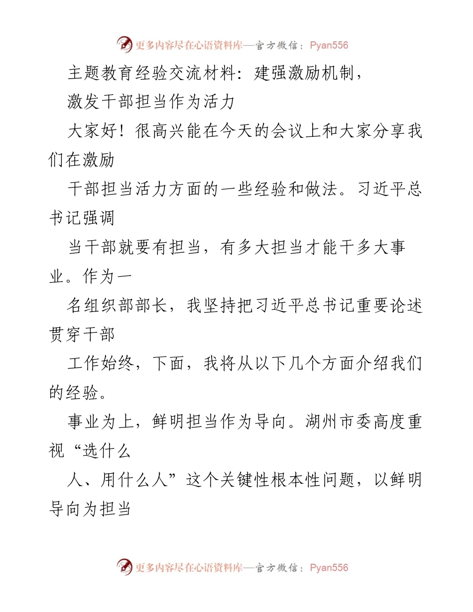 [发言] 主题教育经验交流会议 - 激励机制建设：激发干部担当活力的实践经验.docx_第1页