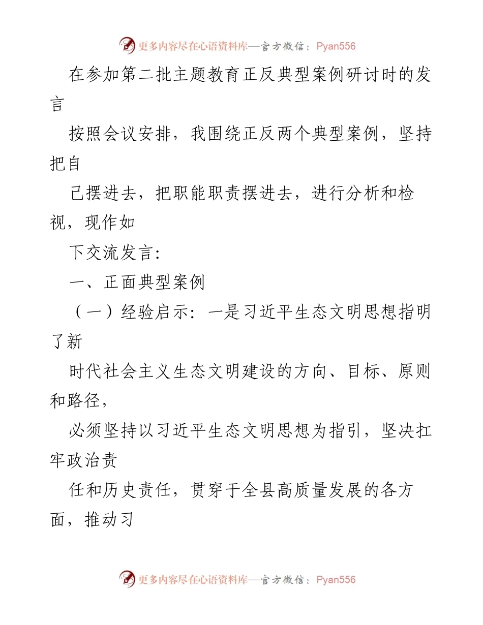 [发言] 主题教育研讨会 - 深入分析正反典型案例，推动生态文明建设与监督机制提升.docx_第1页