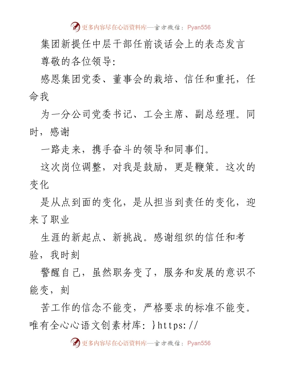[发言] 任前谈话会 - 新任职干部的表态发言与责任承诺.docx_第1页