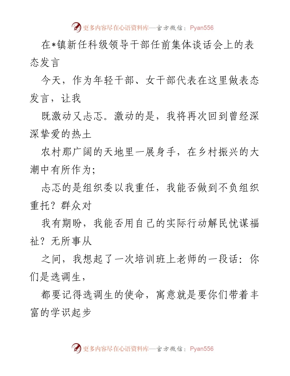 [发言] 任前集体谈话会 - 新任科级领导干部的责任与承诺.docx_第1页