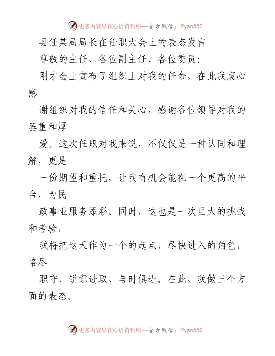 [发言] 任职大会 - 新局长的任职表态与工作承诺_1.docx_第1页