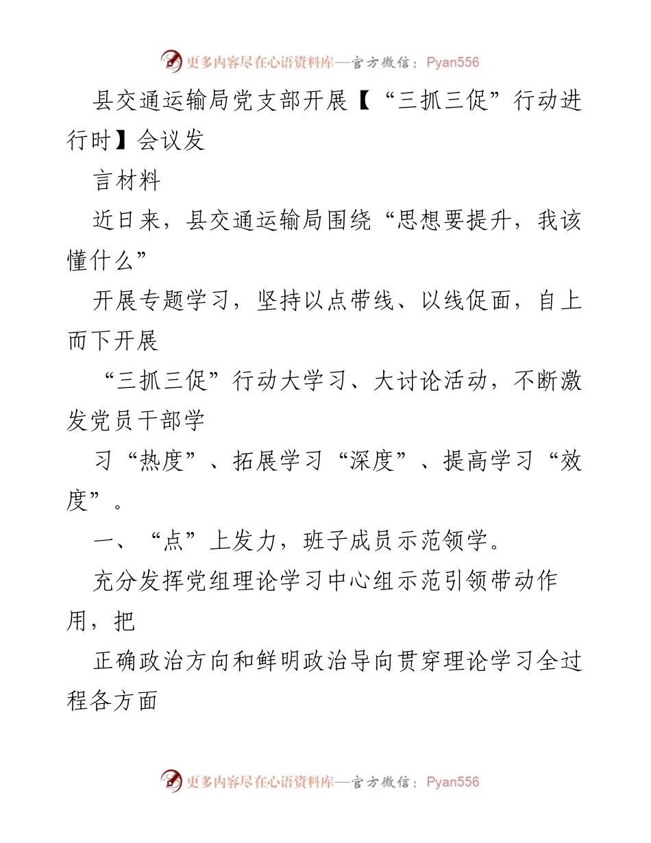 [发言] 会议 - “三抓三促”行动学习推进会发言材料.docx_第1页