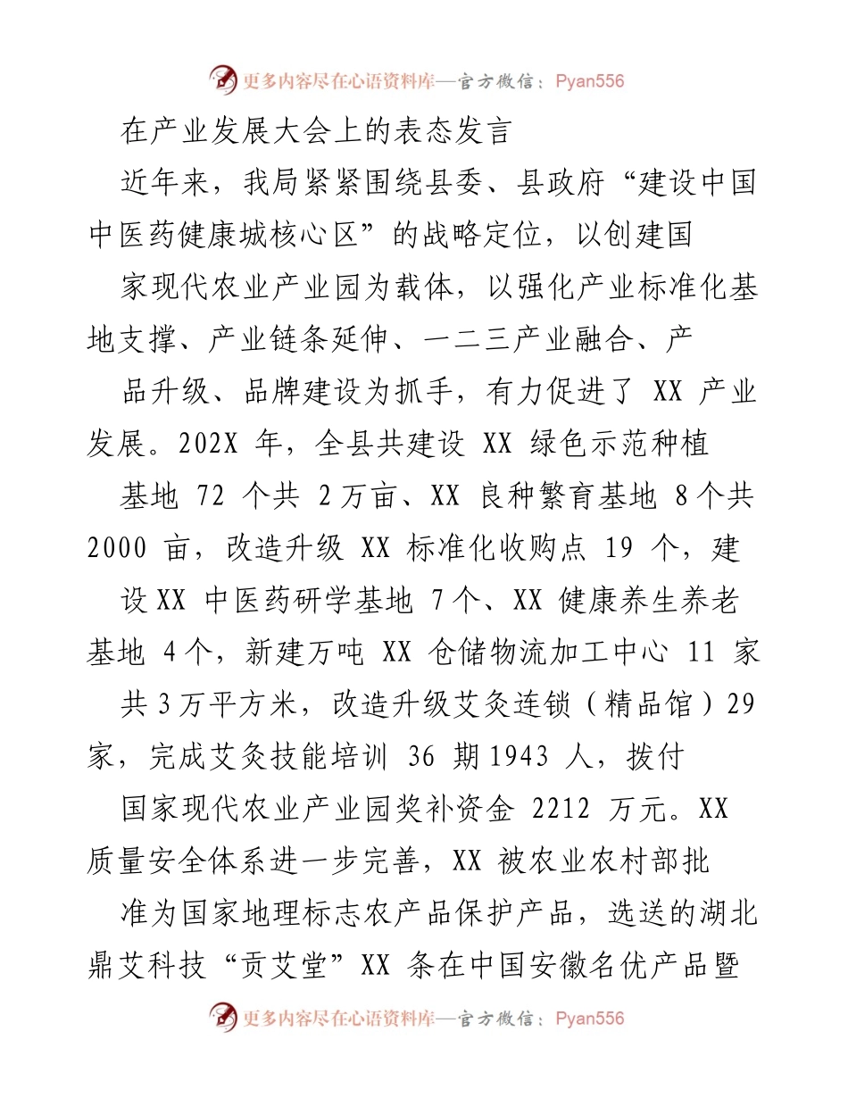 [发言] 产业发展大会 - 推动XX产业高质量发展的战略与措施.docx_第1页