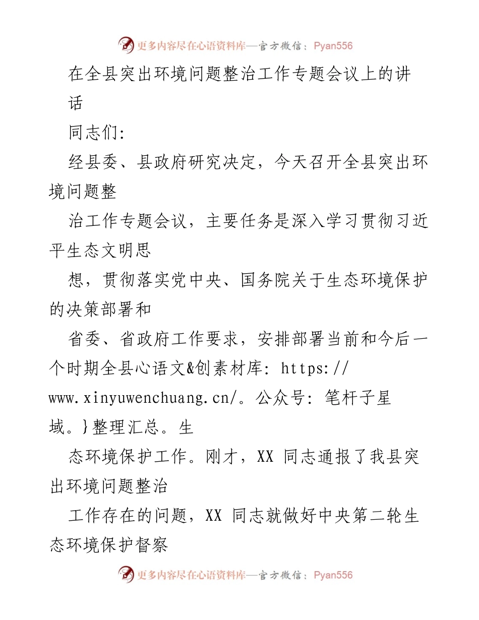 [发言] 会议 - 全县突出环境问题整治工作专题会议发言稿.docx_第1页